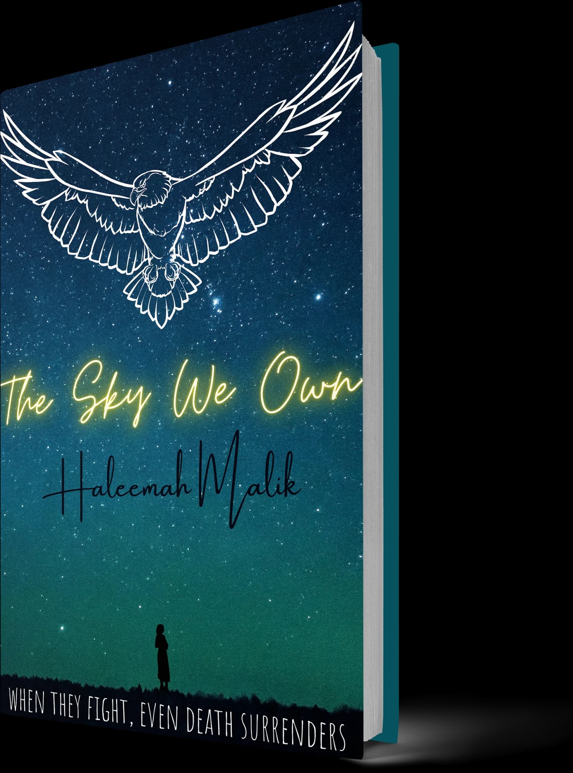 The Sky We Own
