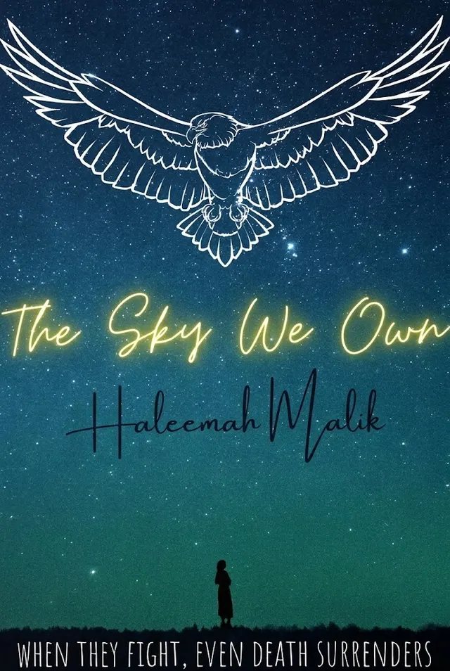 The Sky We Own