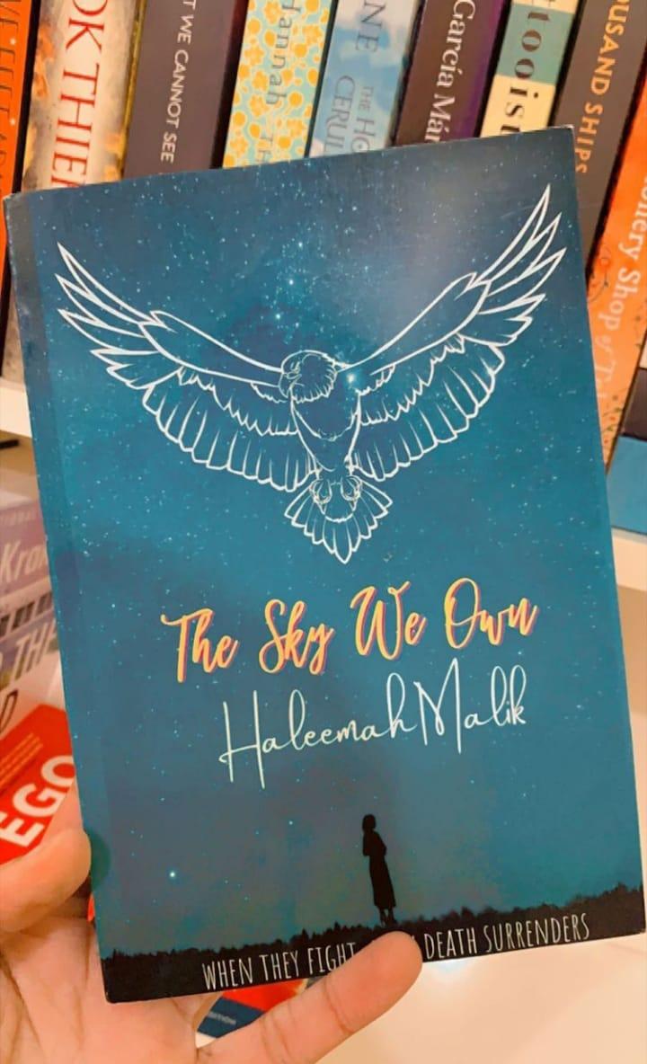 The Sky We Own - Image 2