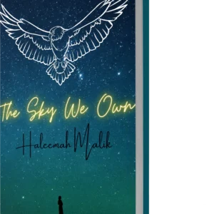 The Sky We Own