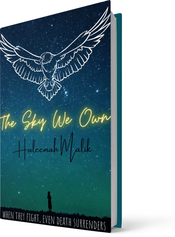 The Sky We Own