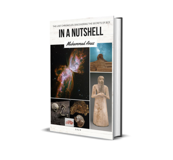 The Lost Chronicles: IN A NUTSHELL